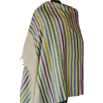 Women's Kashmiri Shawls